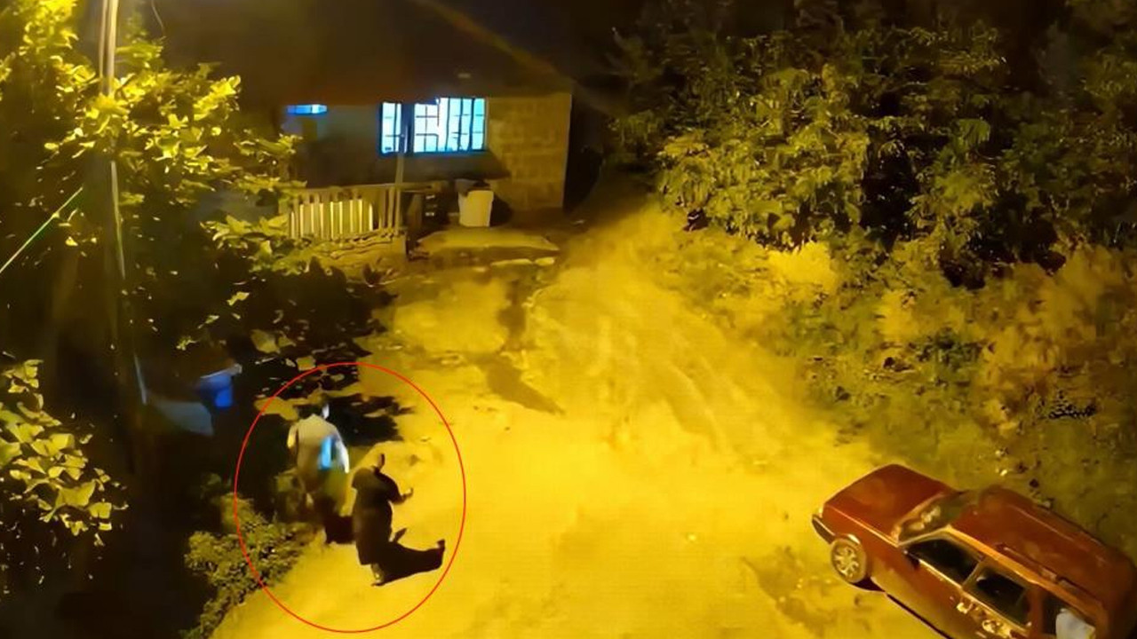 Artvin Hopa’da ayı sesi panik yarattı: Anne ve oğlu eve sığındı